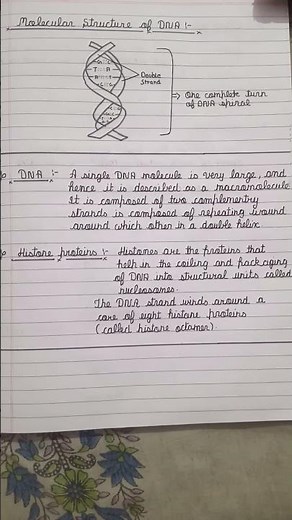 Class 10 IcSE Concise Biology Chapter 2 Structure of Chromosomes written Notes
