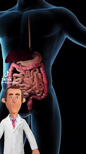 What the f**ck is Acid Reflux?? Here's how it's f**cking explained.. #highlights2025 #reelsfypシ #reelsfacebook #highlighteveryone #funnyreels #education #trivia #science #health Cttro see Watermarks @drpicklephd | Easy Gals | Facebook