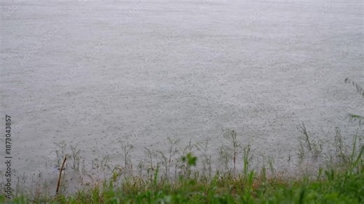 grass in the fog, Outdoor Camping in Tropical Mountain Nature, Java, Indonesia, South East Asia