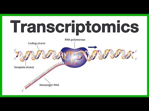 Transcriptomics: A short introduction to the core concepts of microarrays and RNA sequencing
