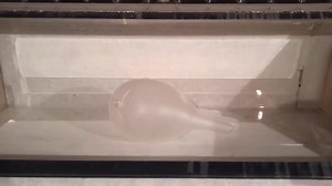 Glove in Vacuum Pump Science Project Explosion