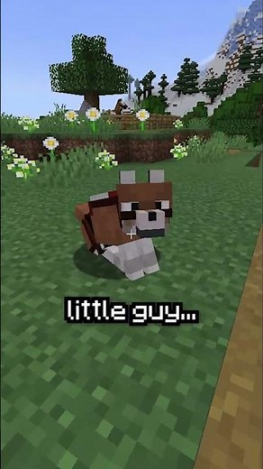 Minecraft, But It's The Funniest Videos...