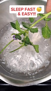 732K views · 6.2K reactions | How to Make Blue Vervain, Peppermint & Spanish Needles Tea for Relaxation & Wellness ✨ #HowToMakeTea #HerbalTea #BlueVervain #PeppermintTea #SpanishNeedles #NaturalHealing #HolisticWellness #HealingWithHerbs #PlantBasedHealing #NatureCures | Javaun Thompson | Facebook