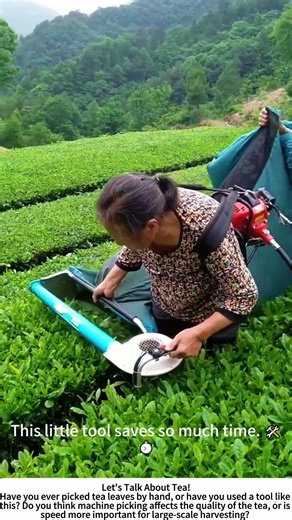 Portable Tea Picker in Action – Fast Harvest on the Mountain ⛰️🍃
