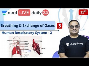 NEET: Breathing & Exchange of Gases - L3 | Class 11 | Live Daily 2.0 | Unacademy NEET | Sachin Sir