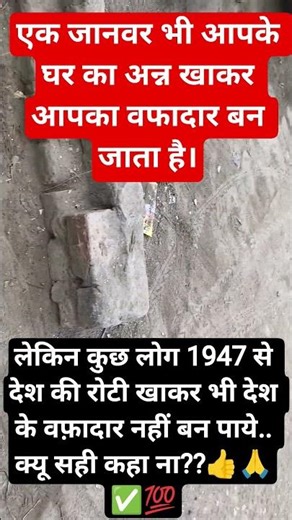 #jaishreeradhekrishna🙏🥰❤️#Radhekrishna#krishna