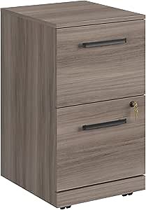 Sauder Affirm 2 Drawer Mobile File, Hudson Elm Finish
