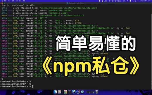 如何搭建一个npm私服，高定制化方式实现