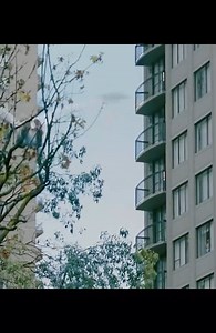 Top movie Netflix 2024 | VAN