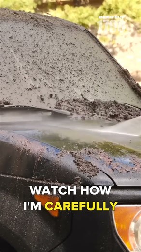 Pressure Washing Secrets: Reviving Your Honda Element's Hidden Texture