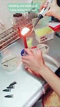 antibacterial activity . adding nanoparticles solution into well for zone preparation