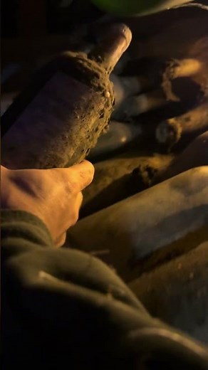 Extremely Old Wine Bottles Hidden in Our Secret Cellar 🤯🍷