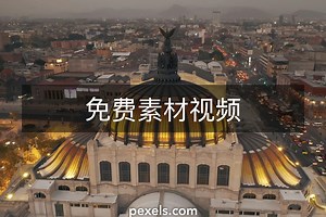 Boar+corps.+project+art+of+zoo视频