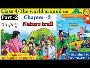 Chapter 3 Nature trail Class 4 evs the world around us explanation with question answers