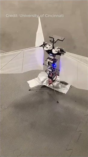 Moth Inspired Drone Flies Smart Without