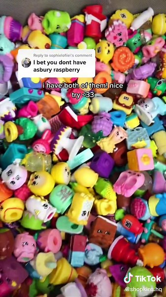 Shopkins Collector's Reply to SophieLofiie Asbury Raspberry!