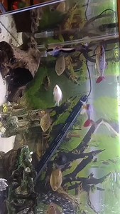 Paul Williamson on Reels