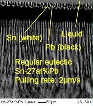 Eutectic solidification in Sn-Pb alloy