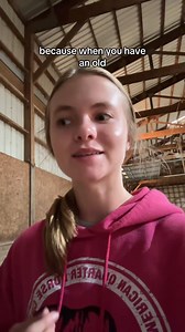 321K views · 22K reactions | Ruby’s training starts now!  #horse #horses #filly #roan #cute | Madalynn L Redline | Facebook