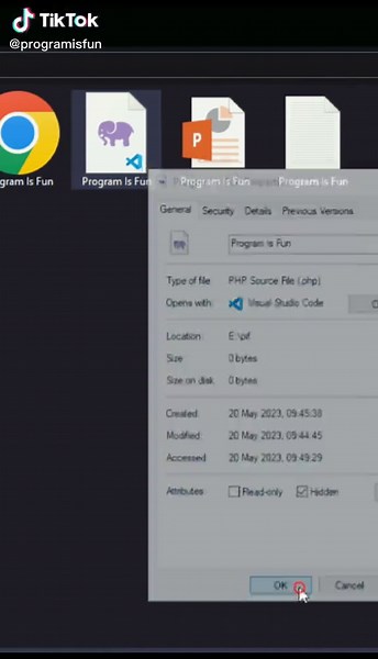 Fun_is_program on TikTok
