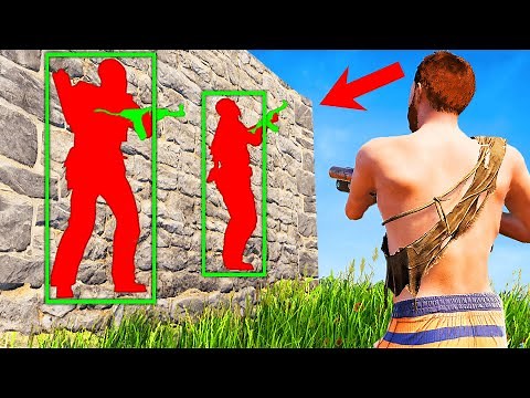 Seeing Through Walls in Rust