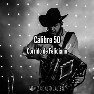 357K views · 11K reactions | Calibre 50 - Corrido de Feliciano (Letra) | Memes de Alto Calibre | Facebook