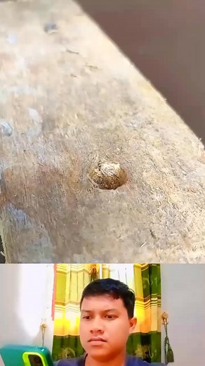 15K views · 706 reactions | Tutorial Ikat Selang ✅ #Viral #Lucu #Tutorial #reels #reelsviral #fbpro #fyp | Dwi Setiady | Facebook