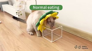 Soft Cat Cone Collar， Cute Adjustable Cat Recovery Collar，Elizabethan e Collar That can Protect Head and Foot Wounds，High-Rebound Sponge, Prevents Water Accumulation (Yellow & Green, S)