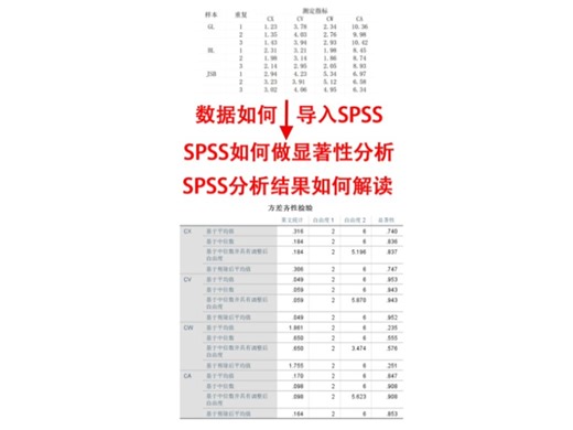 超详细教程 | SPSS 单因素ANOVA检验
