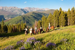 Bike trails open on Vail Mountain