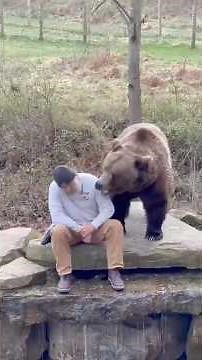 Top 10 DEADLIEST U.S. Apex Predators 🇺🇸