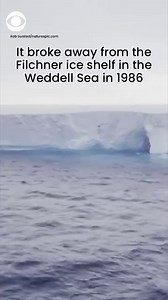 The world’s largest iceberg – three times the size of New York City – has been spotted drifting in the Antarctic Ocean after years of being stuck on the floor of the Weddell Sea. | CBS News