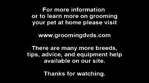5K views · 95 reactions | How To Groom A Yorkie-Trim The Yorkshire Terrier Traditional Cut-Grooming With Andis Clippers | YORKIES | Facebook