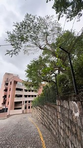 Pure peace and quiet. | P Ruby Tan Padilla