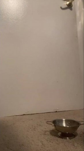 Smooth Stop Motion Animation With AI RIFE