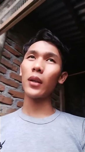 Perang sama tikos, tiap malam anak ayam kampung metong #abibagarden #mediabiba