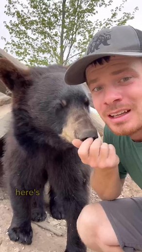 75K views · 1.6K reactions | Animals that scare me! #animals #coolanimals #dangerousanimals | Rimond Cruise | Facebook