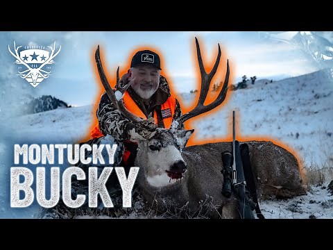 6.5 creedmoor SMACKS big mule deer! A Montana Mule Deer Story
