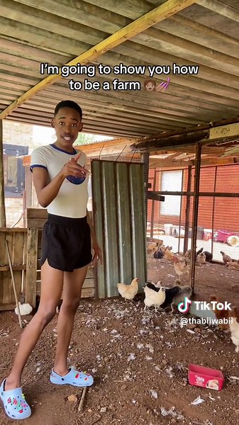 Learn How to Catch Chickens and Embrace Farm Life!