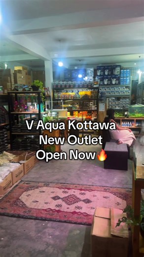 Explore the New V Aqua Outlet in Kottawa