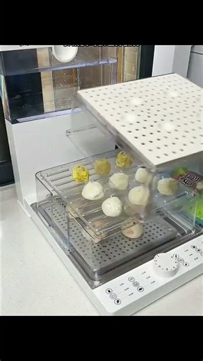 Large Capacity Multi-Layer Folding Electric Steamer Box