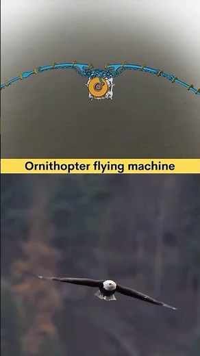 Ornithopter flying bird - Mechanical Bird 🦅