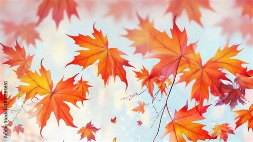 Video A bunch of leaves blowing in the air on a windy autumn day