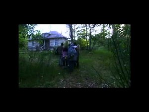 BLOOD PREDATOR OFFICIAL TRAILER