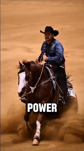 These 5 Horse Breeds Are So Fast They Were Born To Dominate Races #horse #shorts
