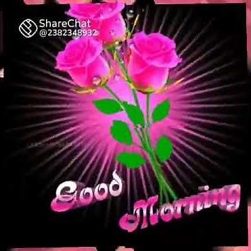 share chat new video aapke liye good morning