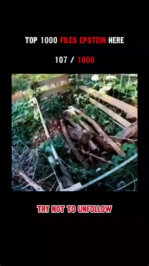 For decades, the investigation into Jeffrey Epstein's network generated a massive repository of evidence-a vault of secrets ip closed doors, the most critical records remained in the shadows. According to legal insiders and official sources, this archive is a complex map of sworn testimonies, sealed motions, private flight manifests, and cross-border financial trails. These documents weren't just paperwork; they were blueprints designed to expose a global operation and the powerful figures who f