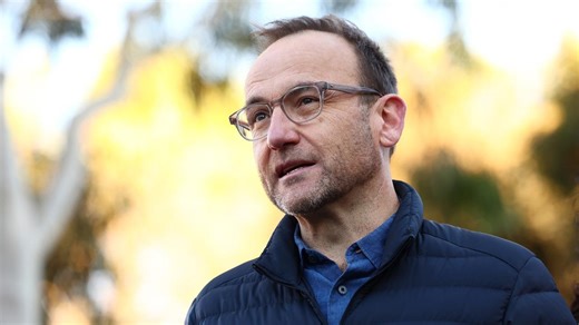 Australian Conservation Foundation hired ‘activist’ Adam Bandt as leader