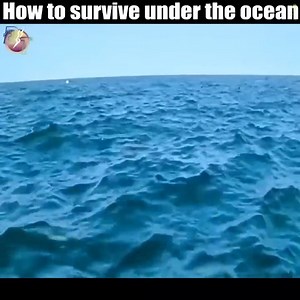 Top Movie Netflix 2024 #Netflix | Ali chop