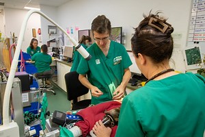 Veterinary Internships Abroad - Loop Abroad